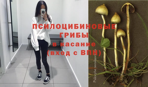 СК Кодинск
