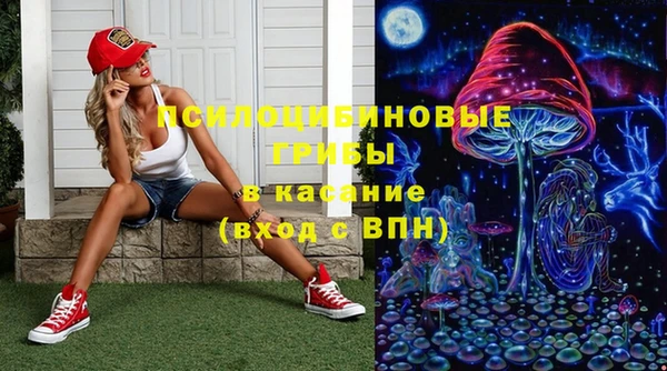 бошки Корсаков