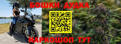 дживик Аргун