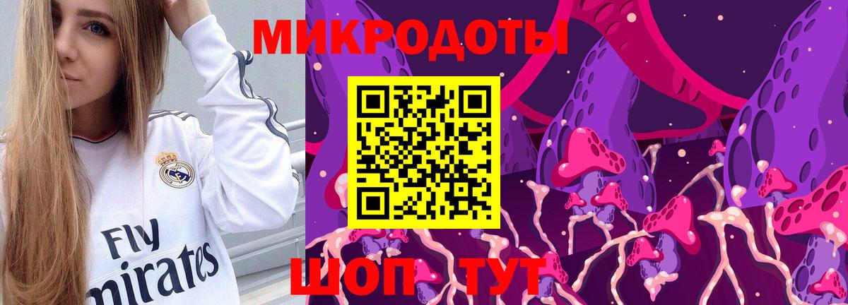 Псилоцибиновые грибы GOLDEN TEACHER  Химки  Псилоцибиновые грибы Psilocybine cubensis 